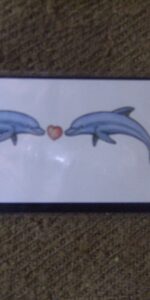 tattoo 6 pair dolphins